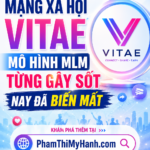 Mạng Xã Hội Vitae mô hình sân chơi đa cấp