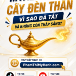 Myaladdinz Cây Đèn Thần mua sắm hoàn tiền
