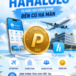paynetcoin và mạng xã hội hahalolo hạ màn