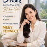 Meey Connect Khoản Đầu Tư 3 Triệu Có Tỷ Suất Sinh Lời Cao Nhất