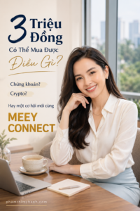Meey Connect Khoản Đầu Tư 3 Triệu Có Tỷ Suất Sinh Lời Cao Nhất