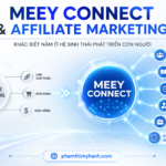 Meey Connect Và Affiliate Marketing Khác Nhau Như Thế Nào