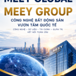 Meey Global- Meey Group