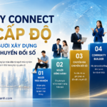 Meey Connect 5 cấp độ cho nghề chuyển đổi số